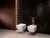 Villeroy & Boch Venticello Биде, настенный, 375 x 560 mm, Альпийский белый CeramicPlus 441100R1