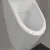 Villeroy & Boch Subway Писсуар, без крышки, Скрытый подвод воды, 285 x 315 mm, белый матовый CERAMICPLUS 751301S3